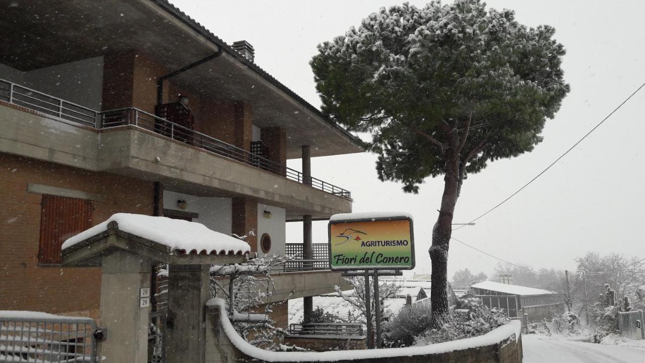 Fiori Del Conero Villa Ancona Kültér fotó