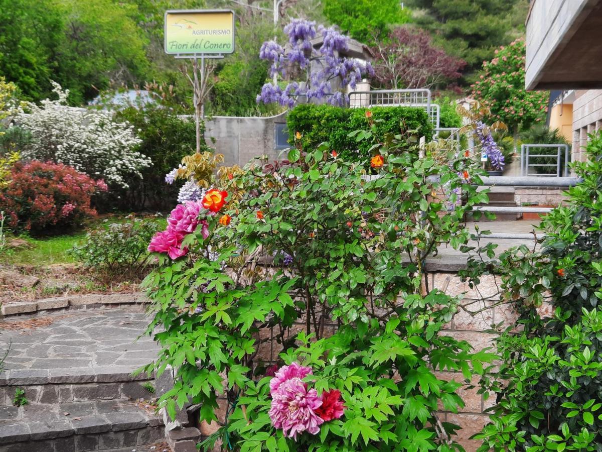 Fiori Del Conero Villa Ancona Kültér fotó